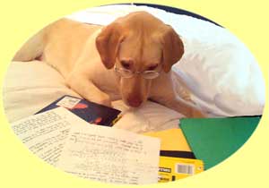 Photo of a Teacher's Pet